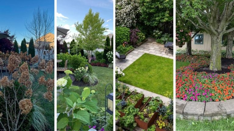 Collection of four shady garden ideas