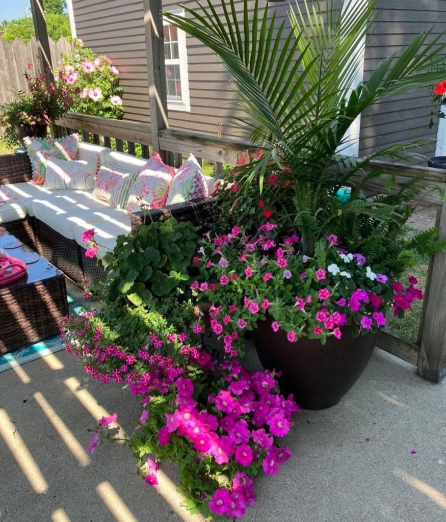Porch seating area with pink flowers palms and tropical plants