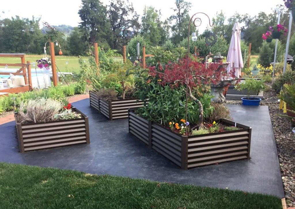 Metal raised beds on concrete platform with mixed plantings