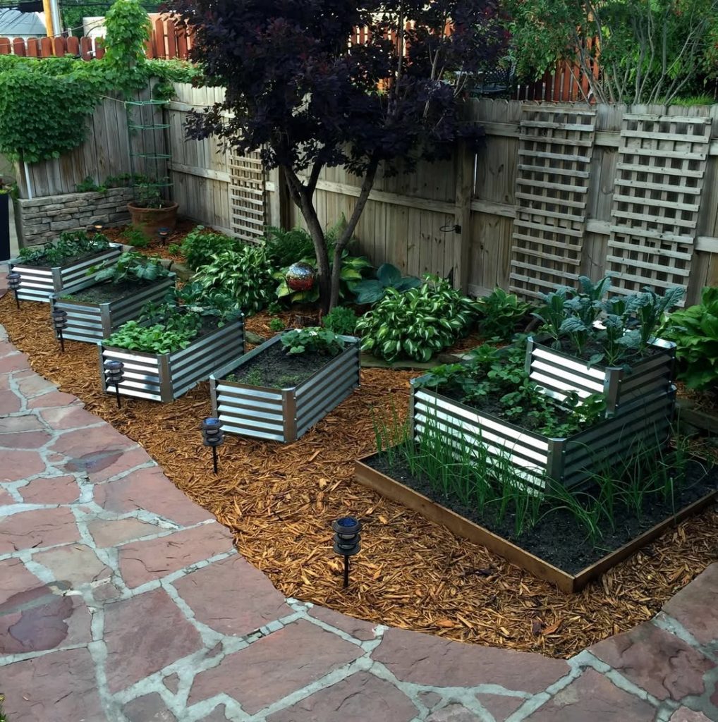 Metal raised beds with stone pathway and mulched borders