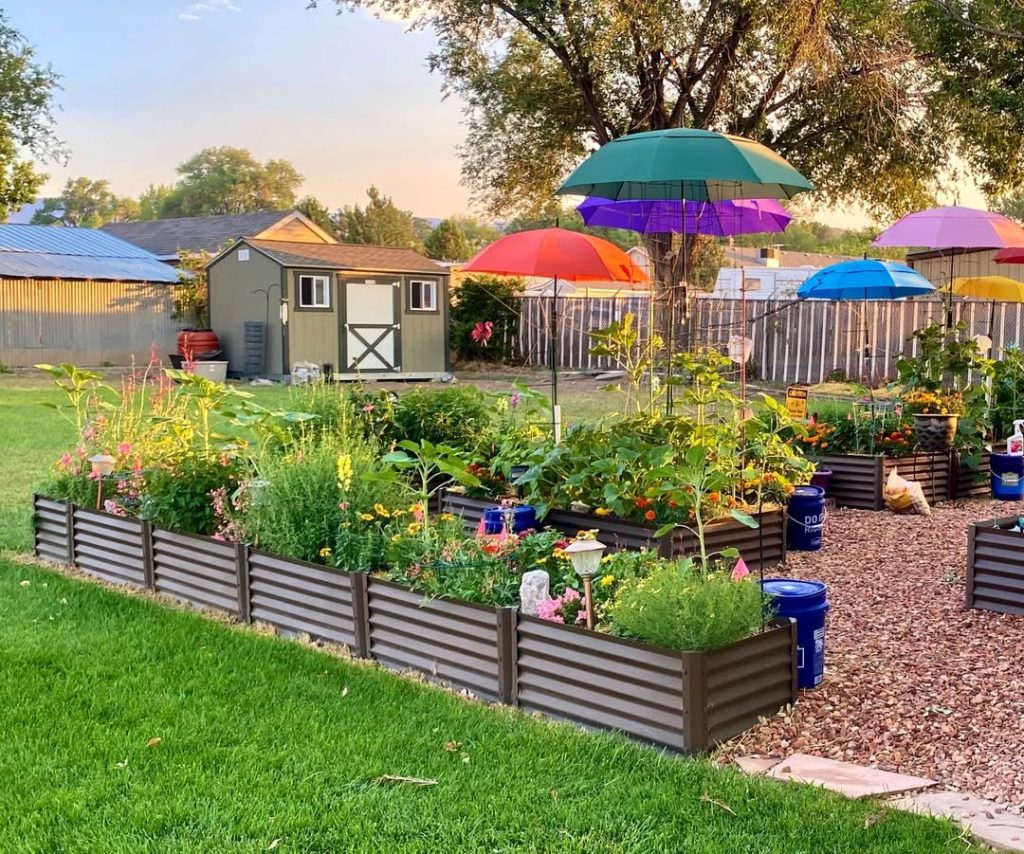 Garden beds with colorful umbrella shade structures