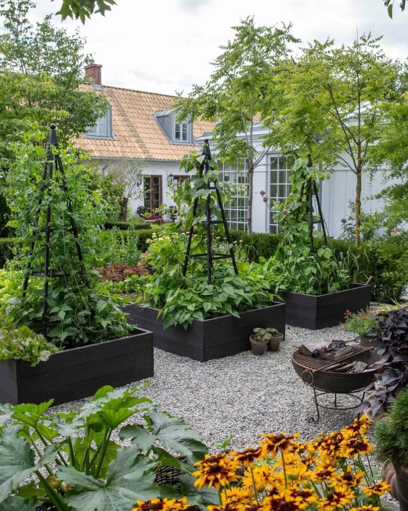 Black raised beds with climbing structures near white cottage