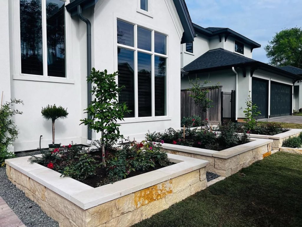 White modern house with limestone raised beds and roses
