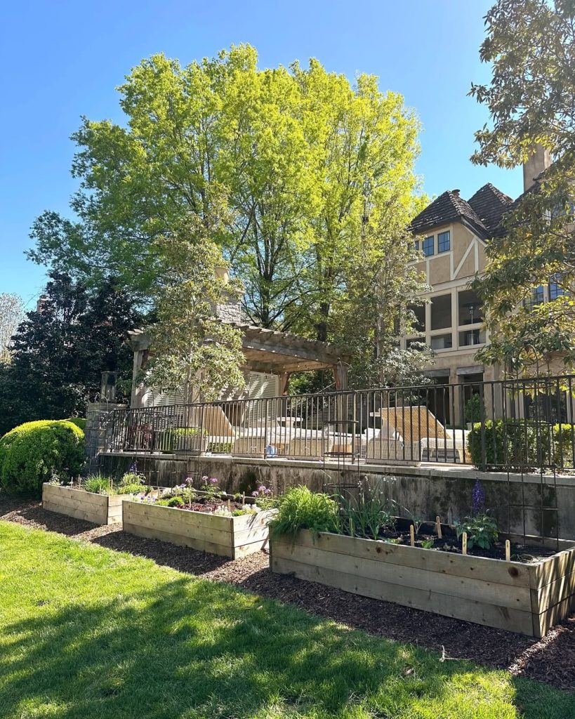 Wooden raised beds along terraced garden wall