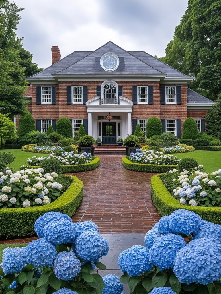 Formal colonial home garden with hydrangeas and boxwood hedges