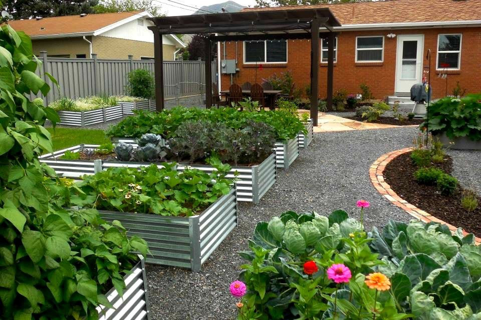 Backyard garden with metal raised beds and wooden pergola