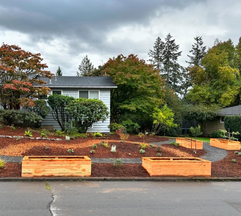  Front yard with cedar raised beds and fall foliage