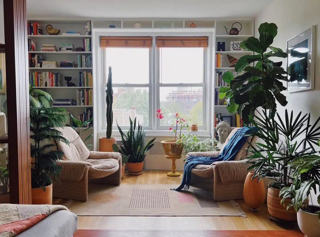 Plant filled reading room with bookshelves corduroy chairs and classical decor