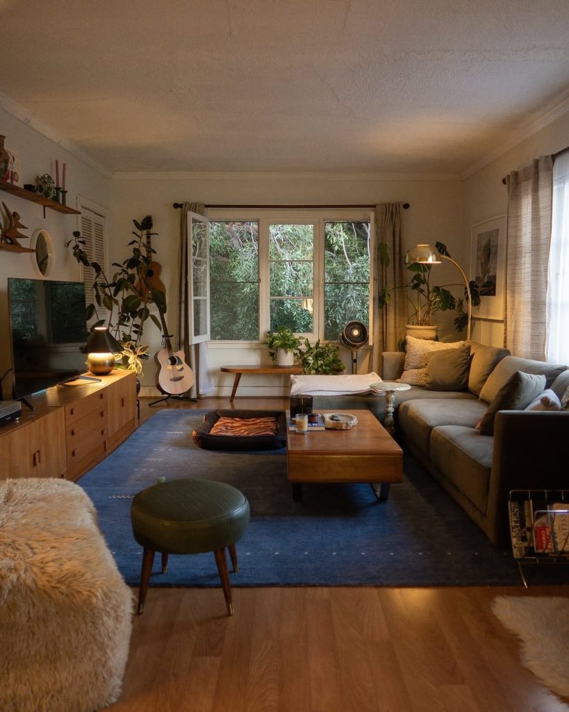 Cozy living room with plants guitar and warm lighting