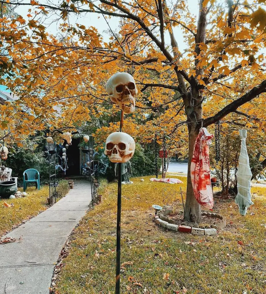 Halloween decorated tree with skulls and bloody fabric decorations