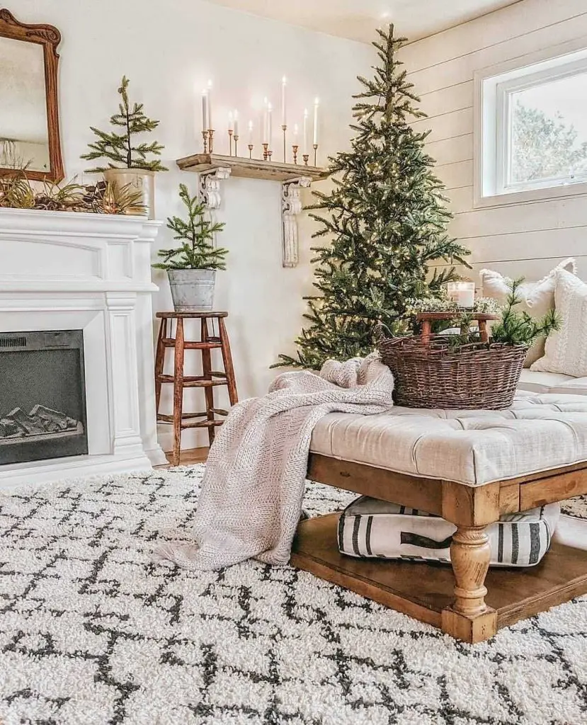 Rustic farmhouse Christmas room with multiple evergreen trees