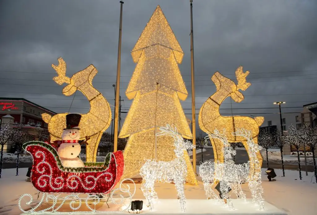 Large Christmas light display with reindeer sleigh tree