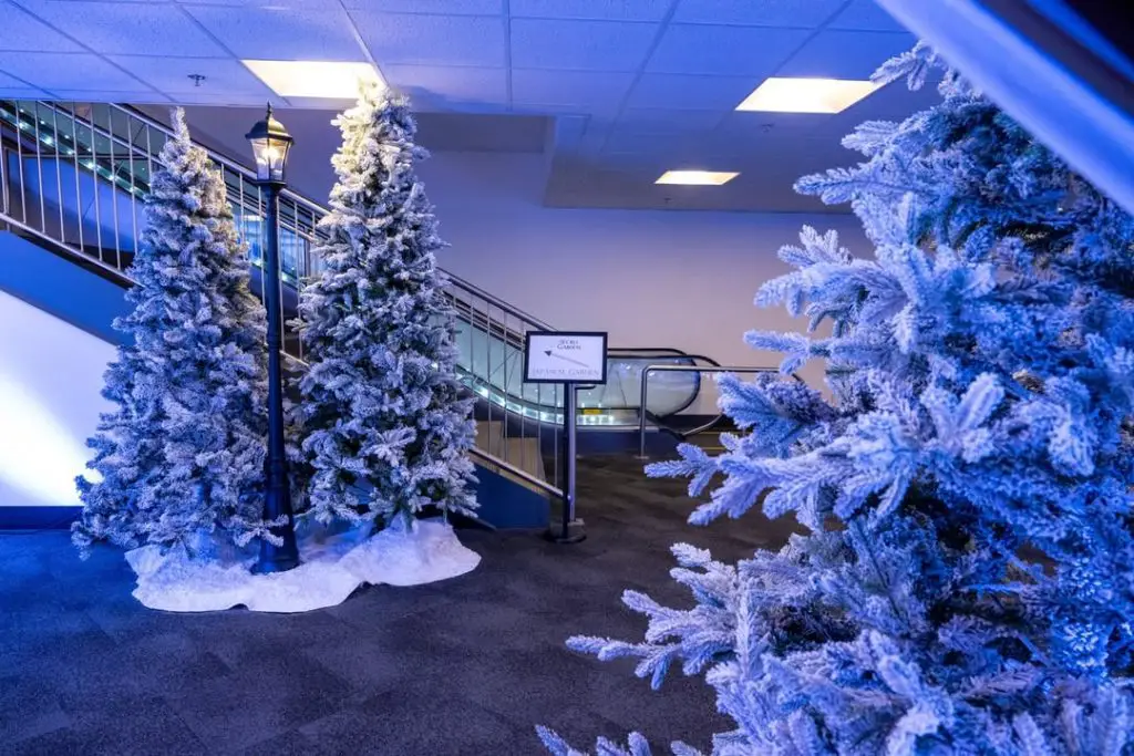 Office holiday decor with blue lights flocked trees