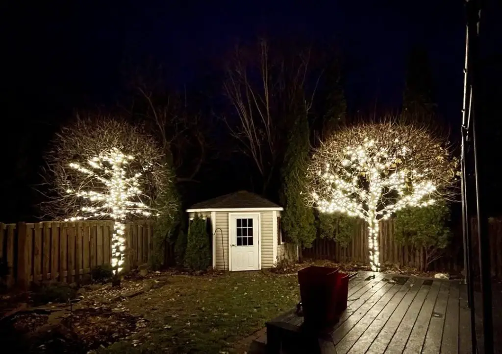 Backyard garden shed surrounded by Christmas lights on winter trees