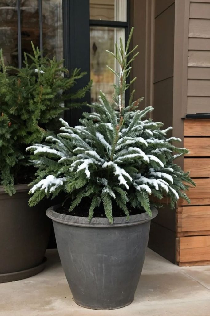 Midnight evergreen and charcoal urn decor