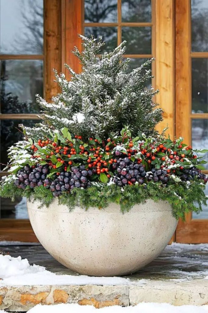 Silver birch and cranberry pot styling