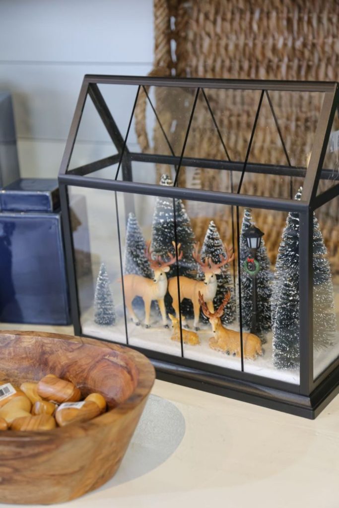 Mini moss terrariums snowy indoor.