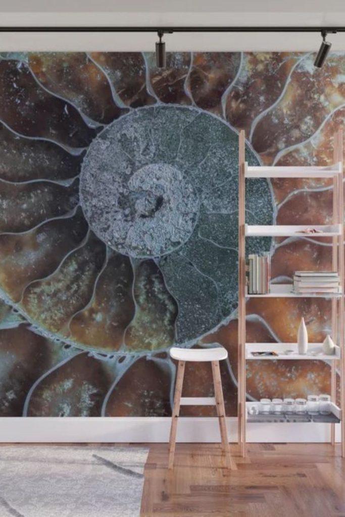 Fossil pieces embedded forming prehistoric wall art