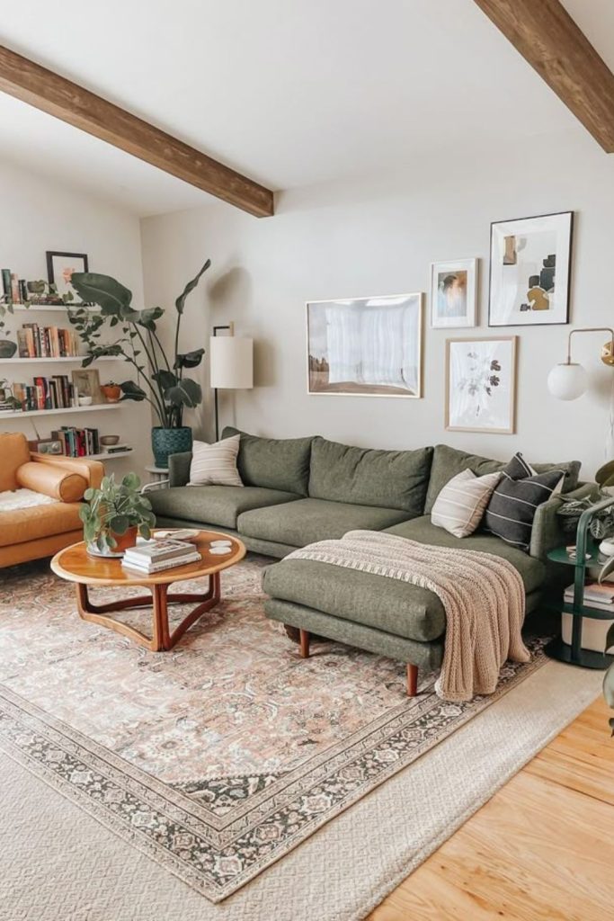 Scandinavian midcentury modern hybrid living room