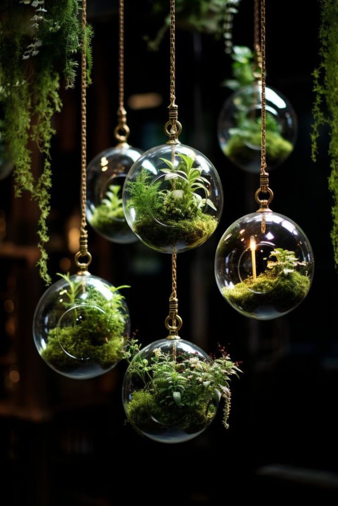 Miniature glass sphere housing live plants
