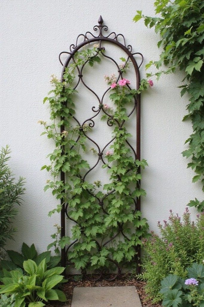 Iron trellis entwined with climbing ivy