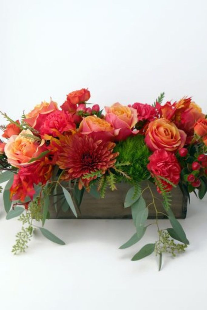 Red orange chrysanthemums in wooden tray