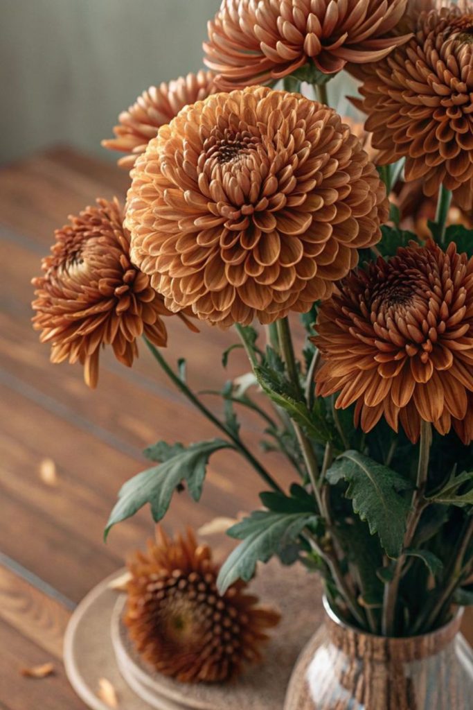 Orange chrysanthemums bronze rustic warmth