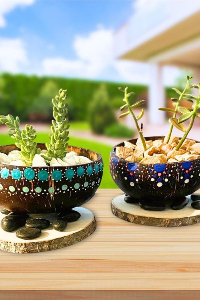 Coconut shell eco garden planter bowls