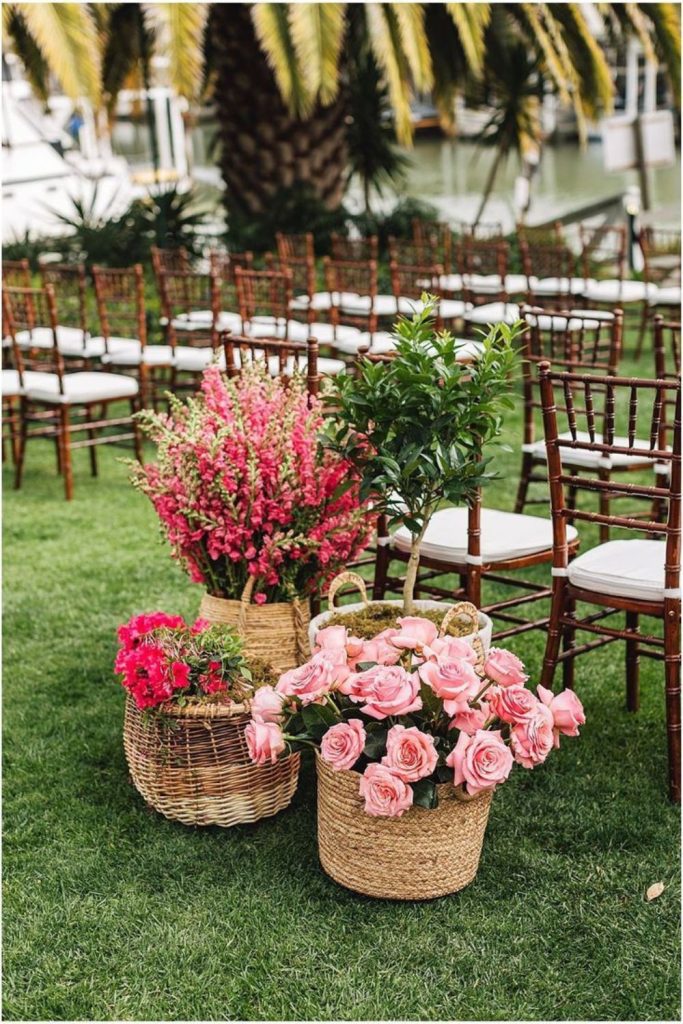 Coral peonies tumbling over sun-faded wood