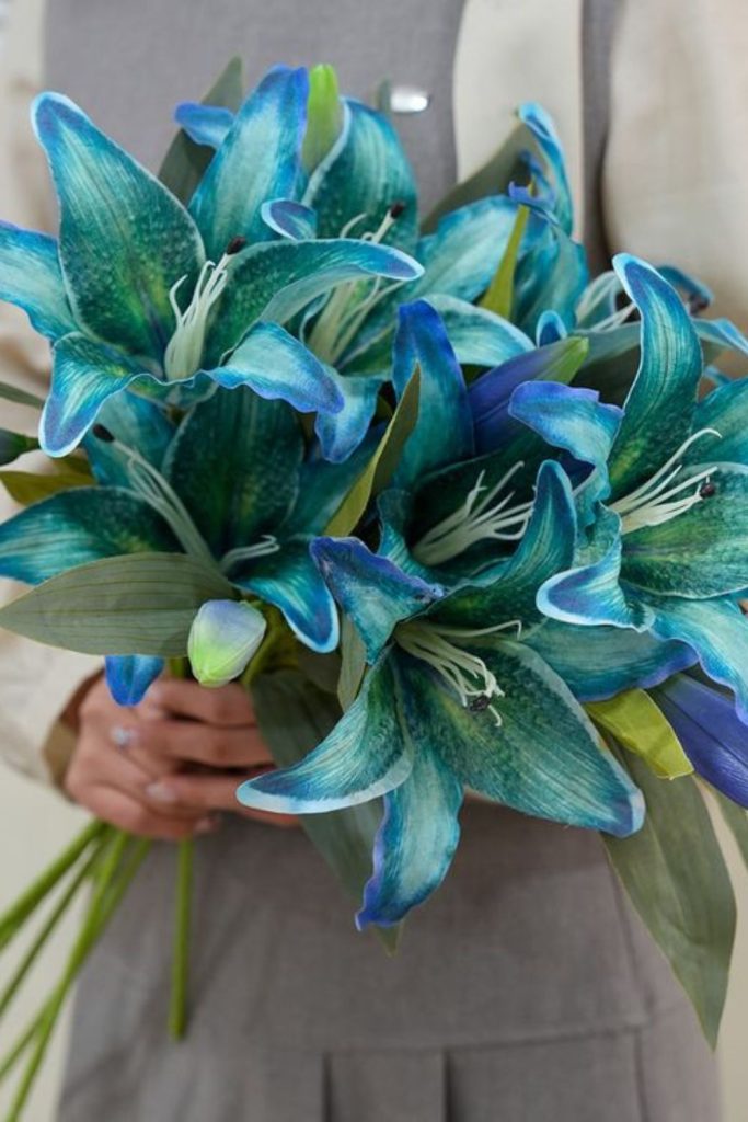 Blue green petals northern lights