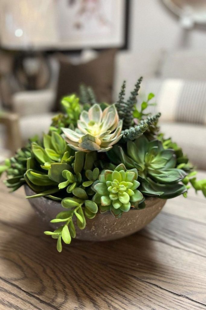 Succulent clusters angular stone vase