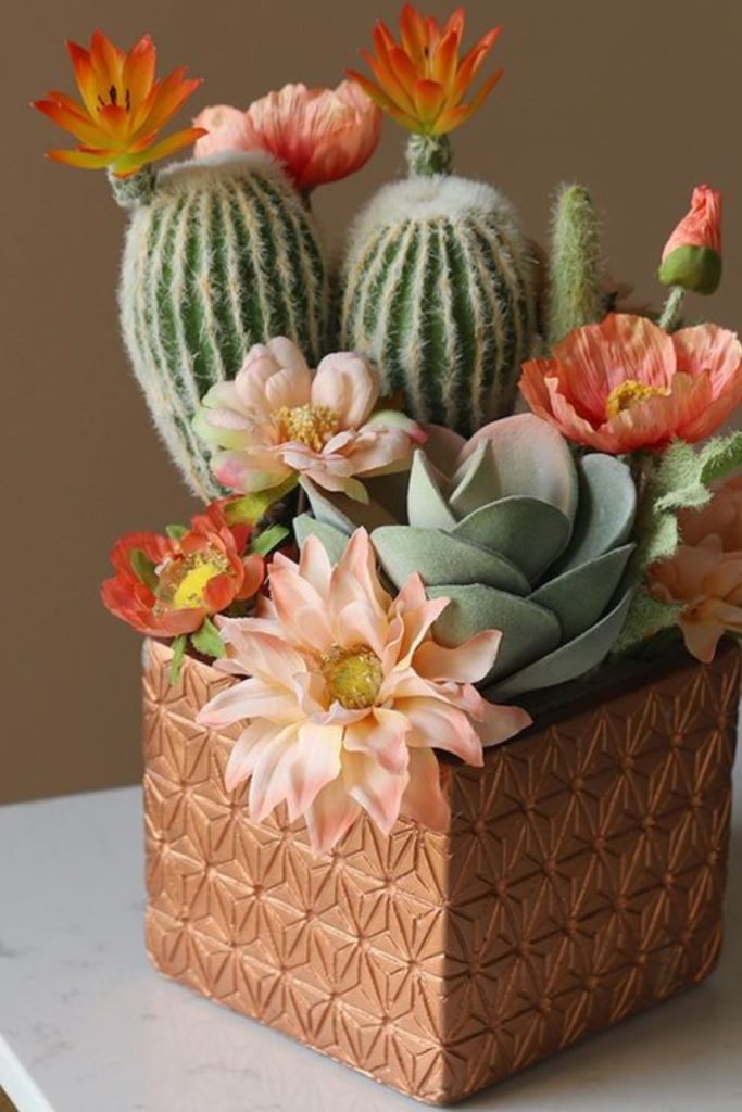 Cactus blooms dusty arid elegance