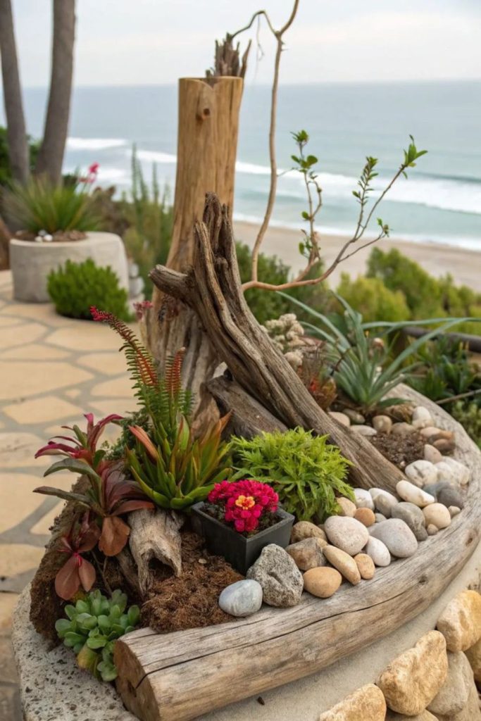 Driftwood base plant arrangement display