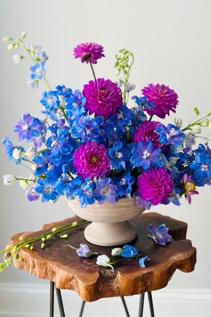 Neon-blue delphiniums and hot pink tulips