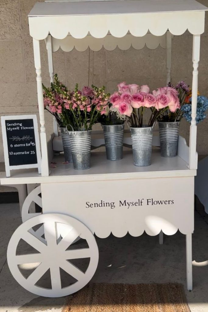 Frost-kissed magnolias perched on aged crates