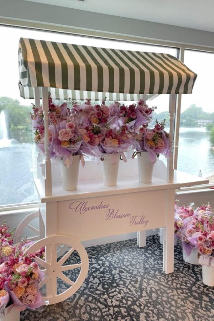 Orchids glowing under soft evening light