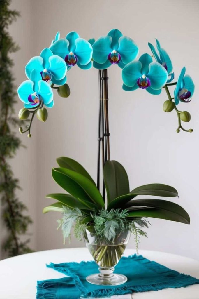 Turquoise orchids with driftwood accents