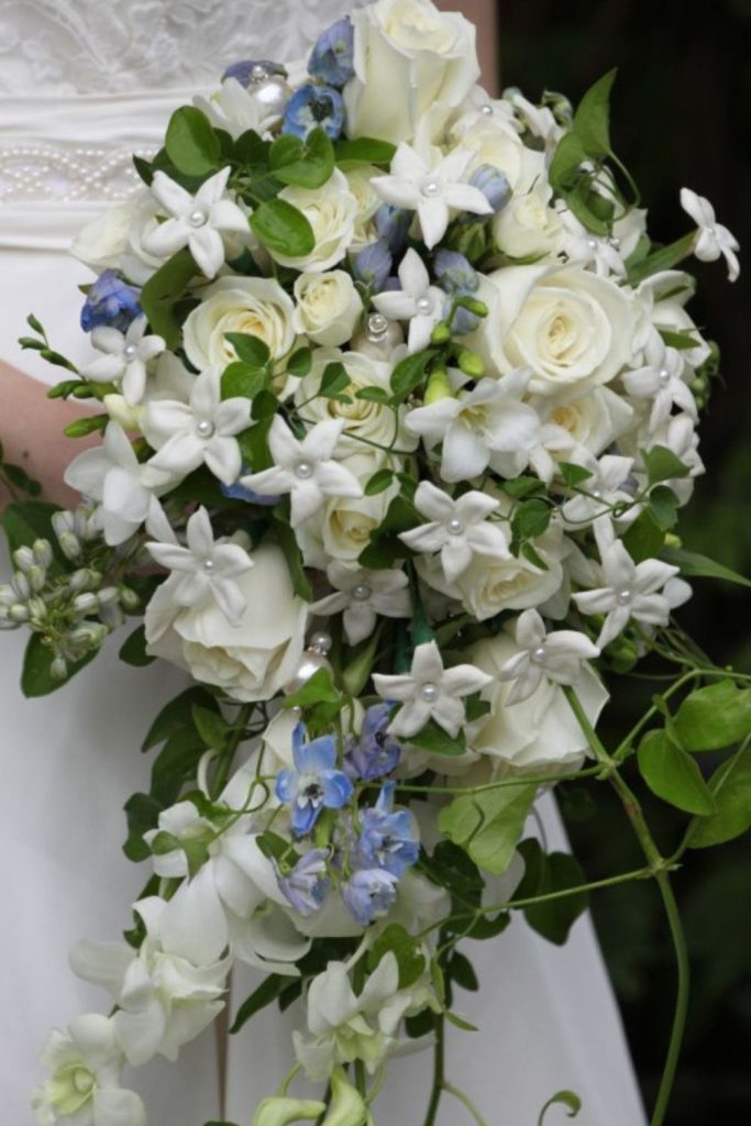 Trailing ivy cascading white blooms