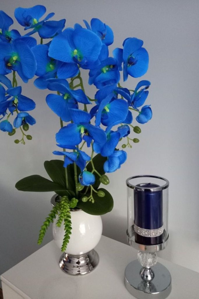 Turquoise orchids in mirrored tray