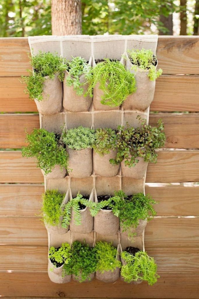 Vertical shoe pocket plant wall