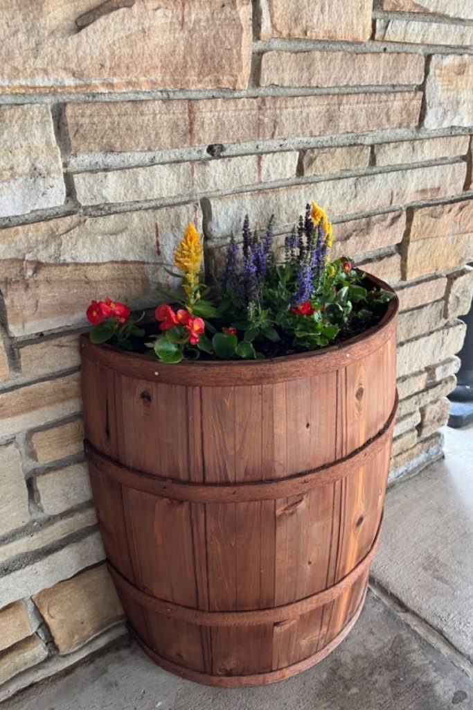Half barrel large flower planter arrangement.