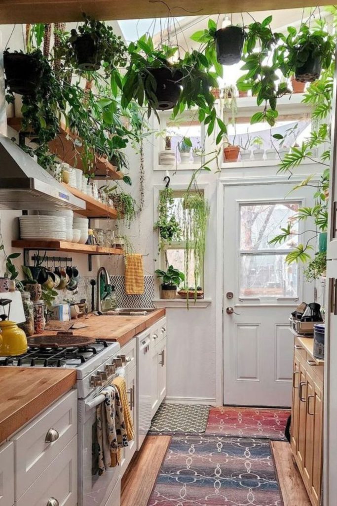Botanical kitchen filled with lush green plants.