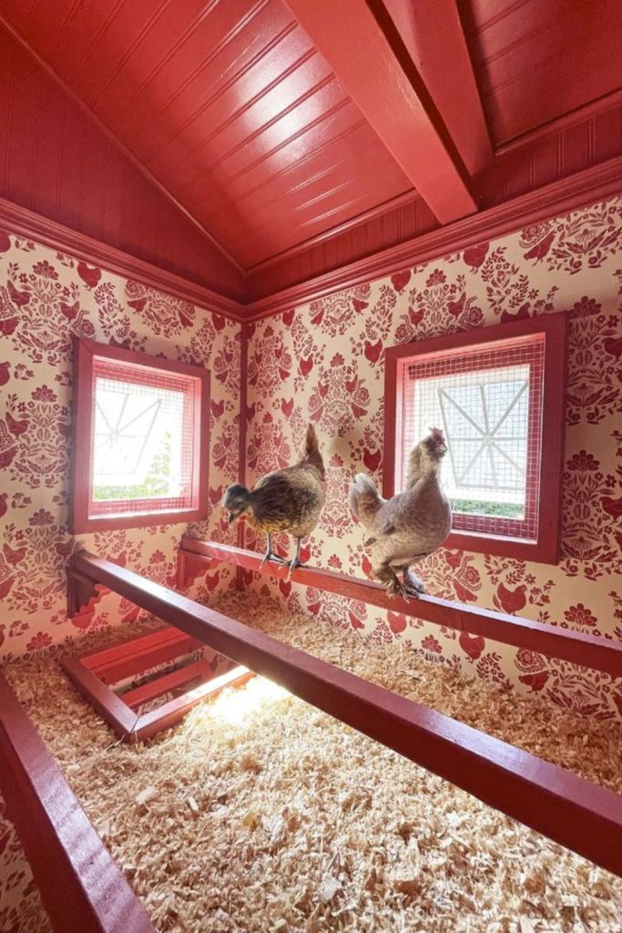 Colorful artistic vibrant coop interior design