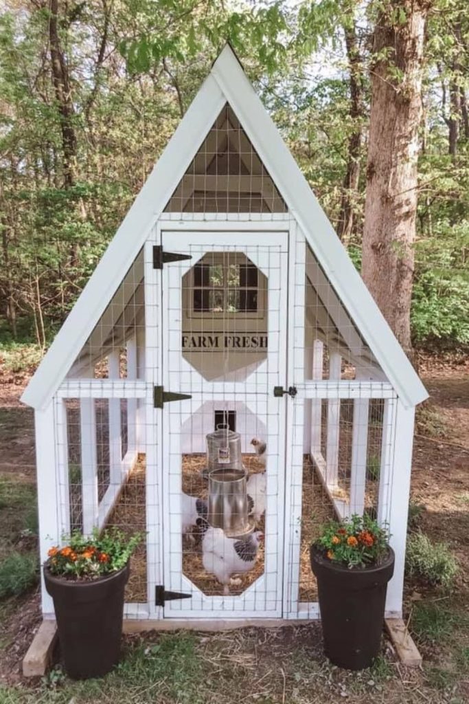 Double wing expandable chicken shelf coop system