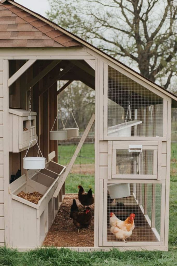 Fairy tale magical coop interior design