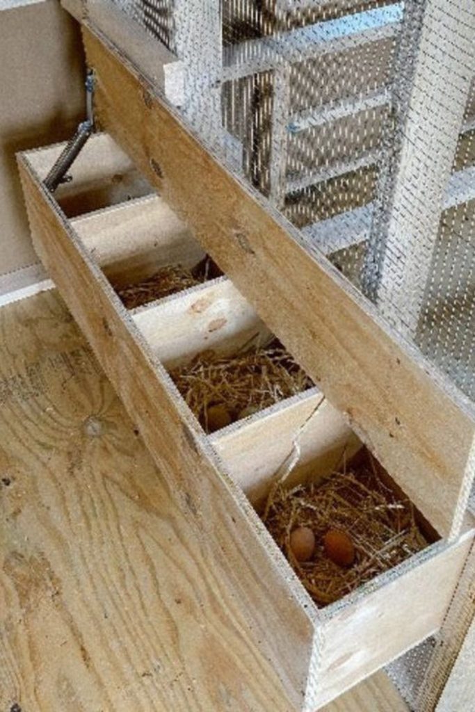 Mesh frame floating chicken shelf coop design