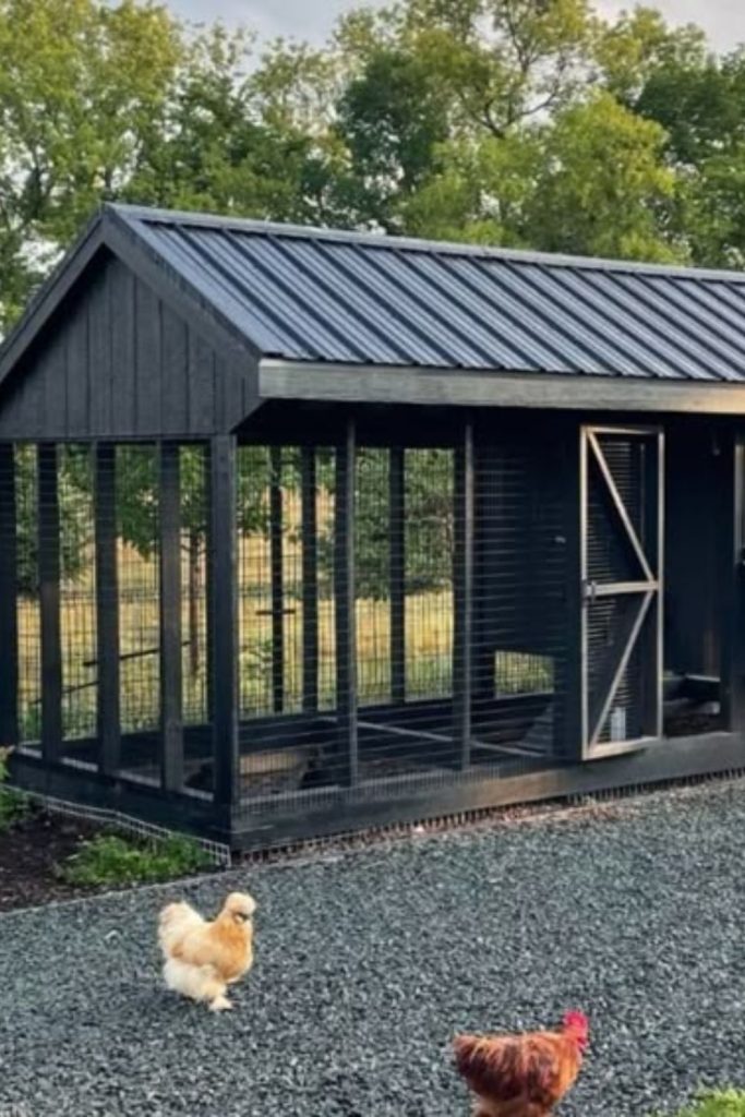 Industrial metal framed chicken shelf coop design