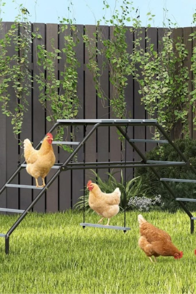 Metal ladder spine chicken roost vertical system