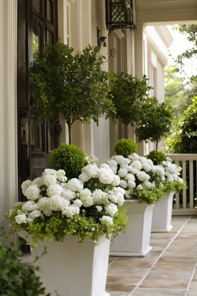 Minimalist white cube succulent porch pots.
