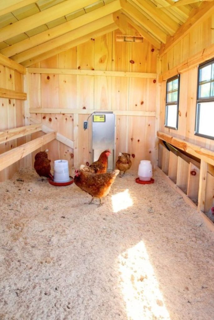 Reclaimed pallet rustic coop interior style